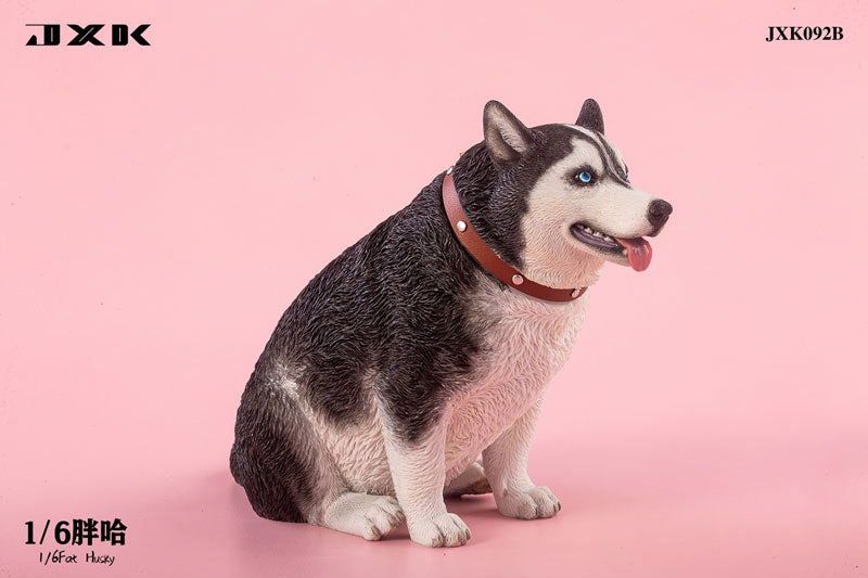 1/6 Chubby Husky B