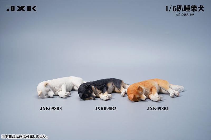 1/6 Sleeping Shiba Inu B1