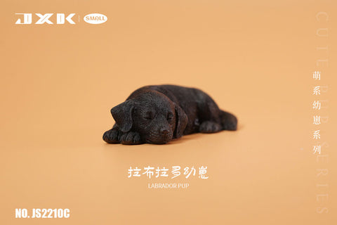 Small Labrador Puppy Sleeping Soundly C