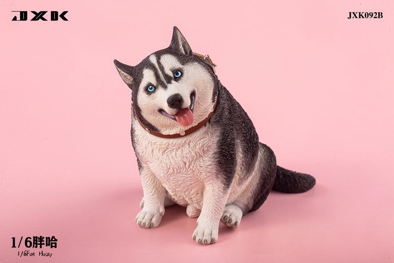 1/6 Chubby Husky B