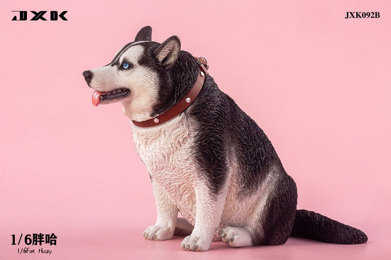 1/6 Chubby Husky B