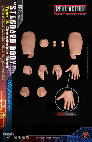 1/6 Standard Body Type A Detachable Neck