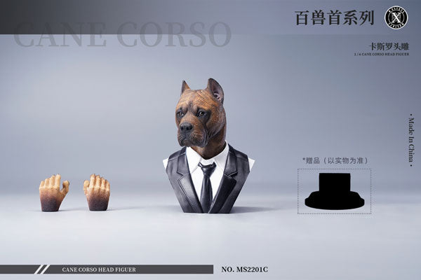 1/6 Head Cane Corso C