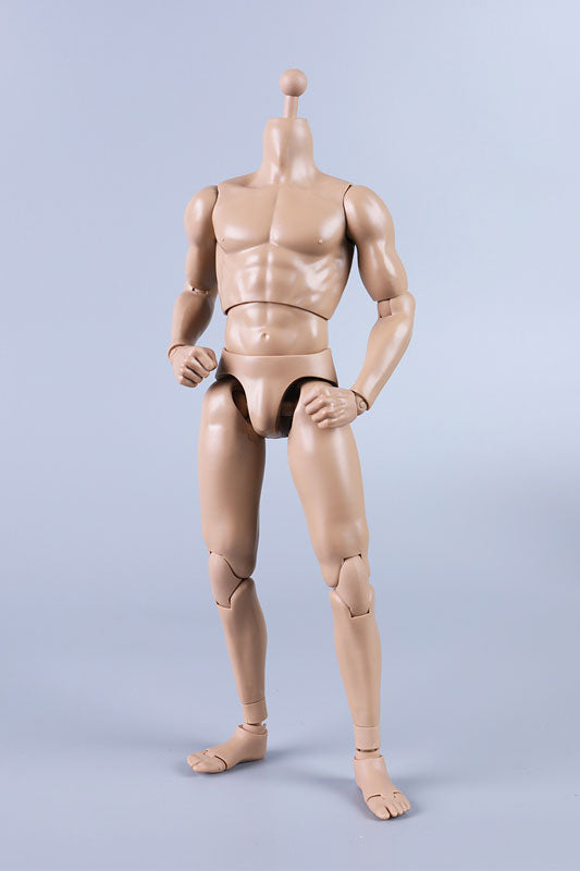 1/6 New Type Muscular Male Body (Plain)