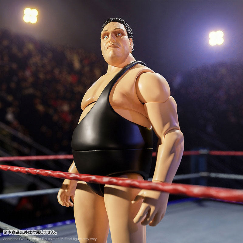 Andre the Giant Ultimate 8 Inch Action Figure ver.3