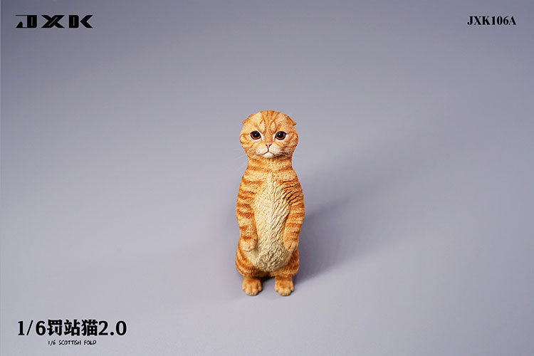 1/6 Scottish Fold 2.0 A