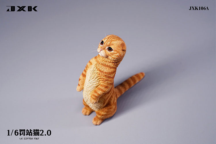 1/6 Scottish Fold 2.0 A