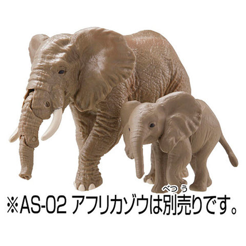 Ania AC-02 Elephant (Child)