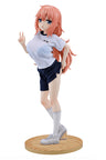 Seitokai ni mo Ana wa Aru! - Michinoku Komaro - Re▼Dress - 1/4 - P.E. Uniform Ver. (Medicos Entertainment)