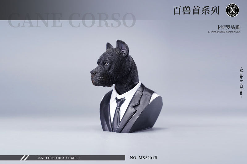 1/6 Head Cane Corso B