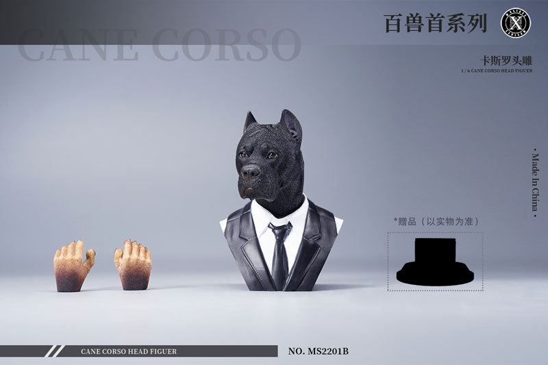 1/6 Head Cane Corso B