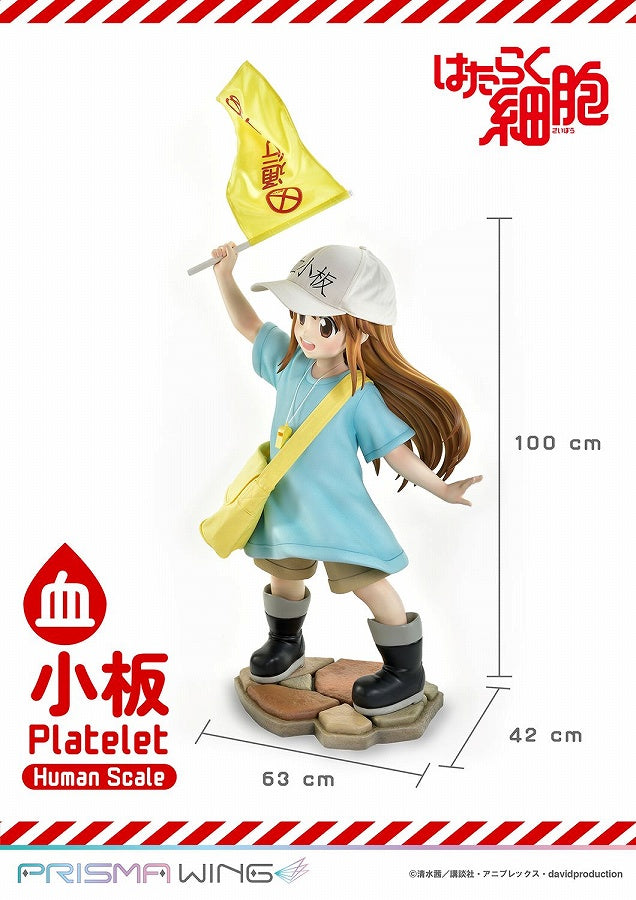 Platelet - Hataraku Saibou