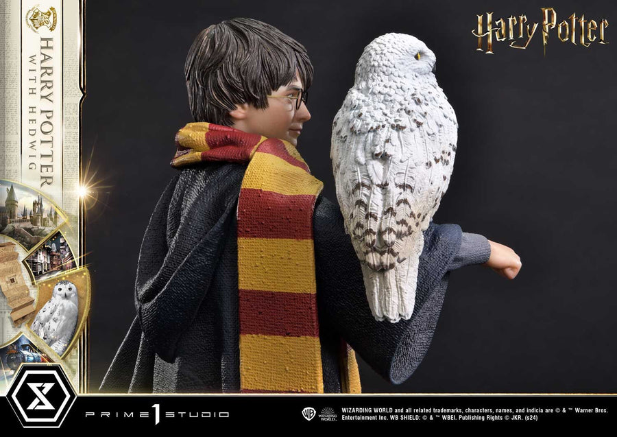 Harry Potter, Hedwig - Harry Potter