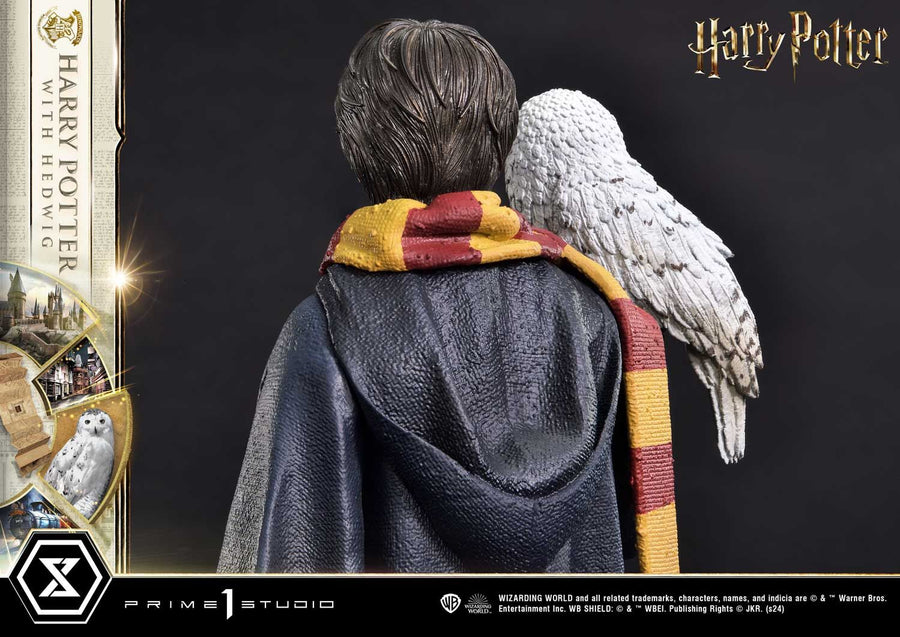 Harry Potter, Hedwig - Harry Potter