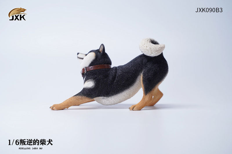 1/6 Rebellious Shiba Inu B3