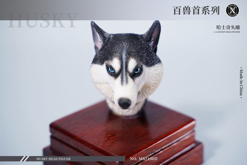 1/6 Head Husky D