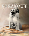 Breakout by Matt Bailey 8 Inch Polystone Statue