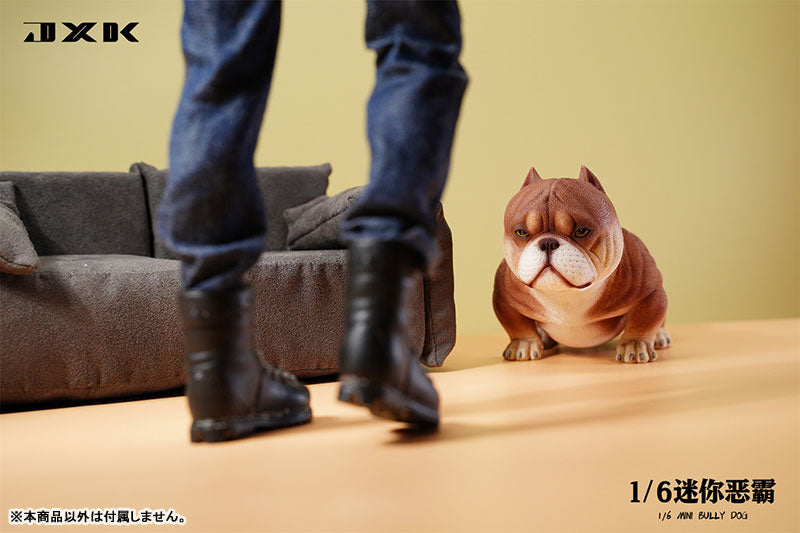 1/6 Mini Bully Dog B