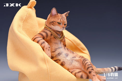 1/6 Leopard Cat B