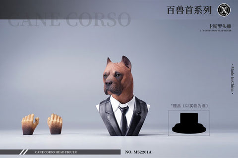 1/6 Head Cane Corso A