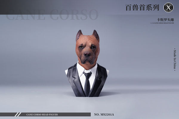 1/6 Head Cane Corso A