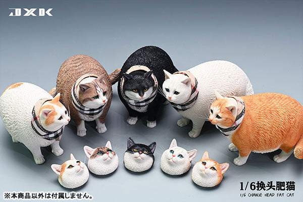 1/6 Fat Cat Exchangeable Face D