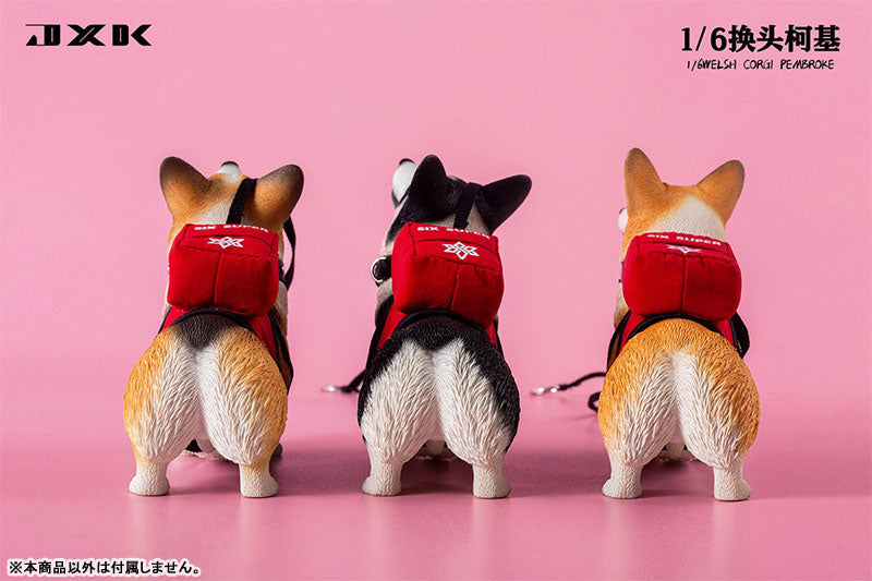 1/6 Welsh Corgi Pembroke C