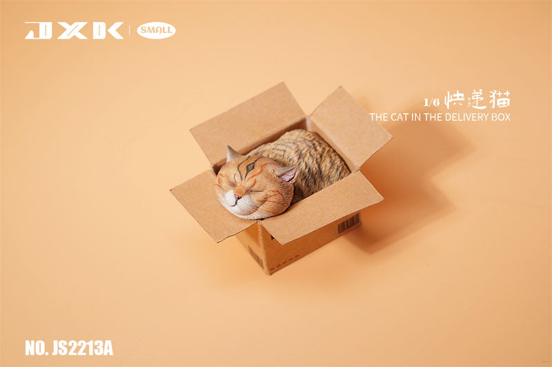 Small Cat in the Cardboard Box A