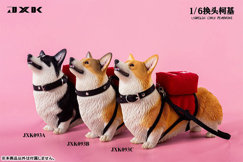 1/6 Welsh Corgi Pembroke C