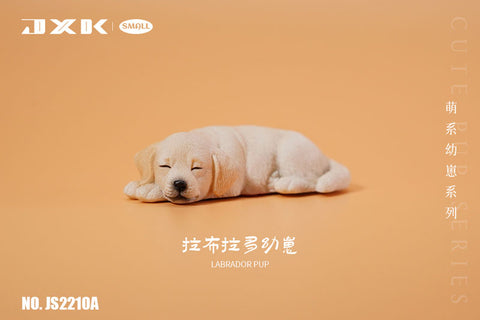 Small Labrador Puppy Sleeping Soundly A