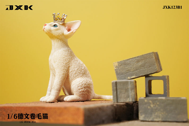 1/6 Devon Rex B1