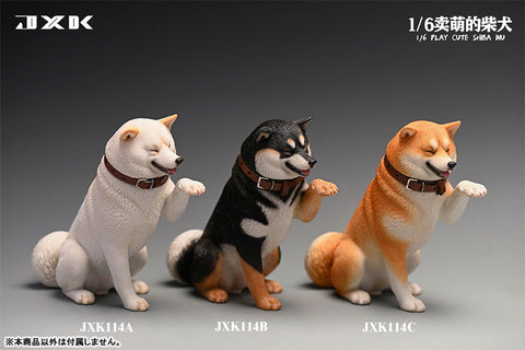 1/6 Frolicking Shiba C