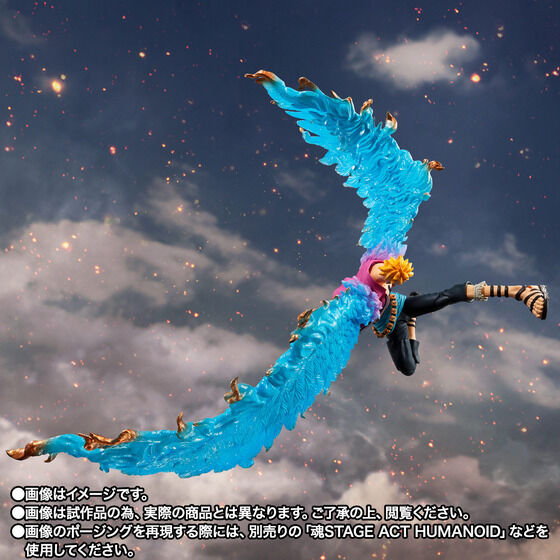 Marco - One Piece