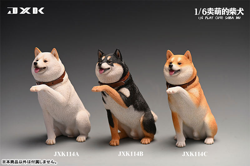 1/6 Frolicking Shiba C