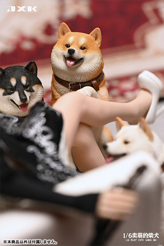 1/6 Frolicking Shiba C