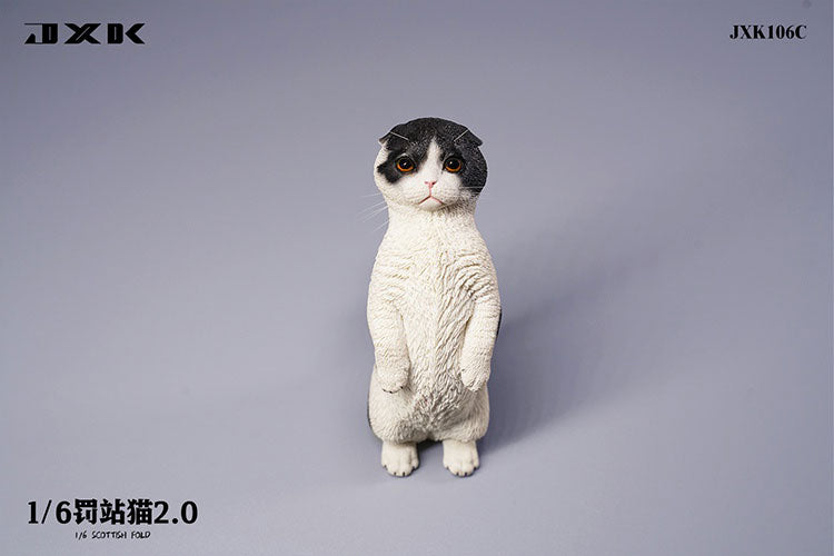 1/6 Scottish Fold 2.0 C