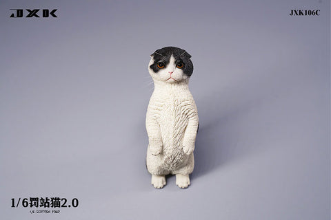 1/6 Scottish Fold 2.0 C