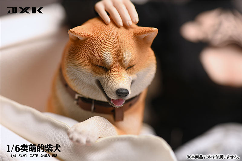 1/6 Frolicking Shiba C