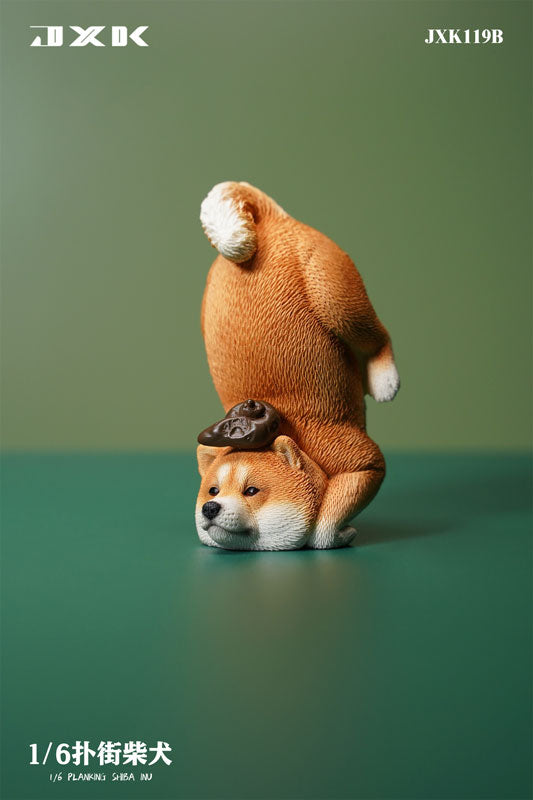 1/6 Planking Shiba Inu B