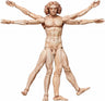 Figma (#SP-075) - The Table Museum - Vitruvian Man - 2027 Re-release (FREEing, Max Factory)