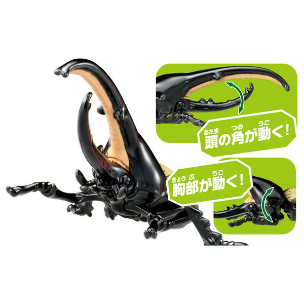 Ania AS-38 Hercules Beetle