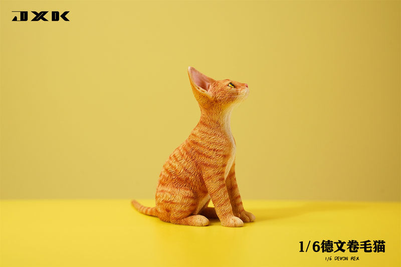 1/6 Devon Rex A4