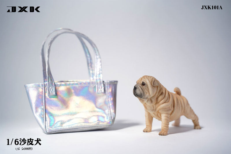 1/6 Shar Pei A