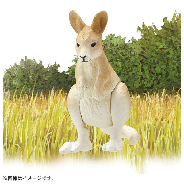 Ania AC-05 Kangaroo (Child)