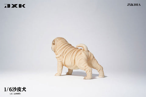 1/6 Shar Pei A