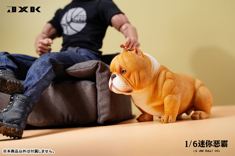 1/6 Mini Bully Dog A