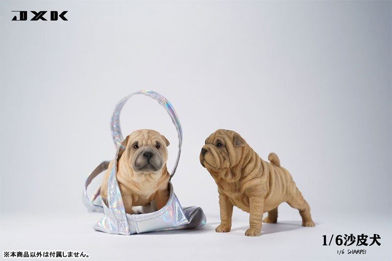 1/6 Shar Pei A