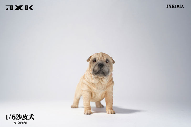 1/6 Shar Pei A