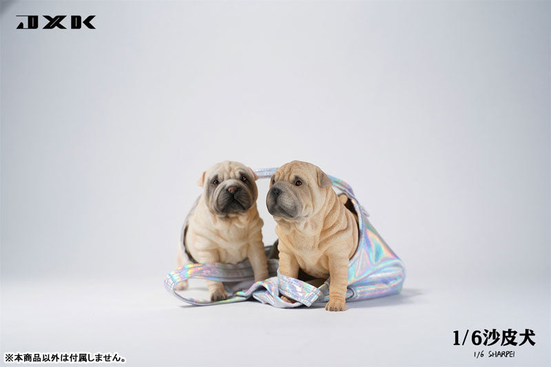 1/6 Shar Pei A