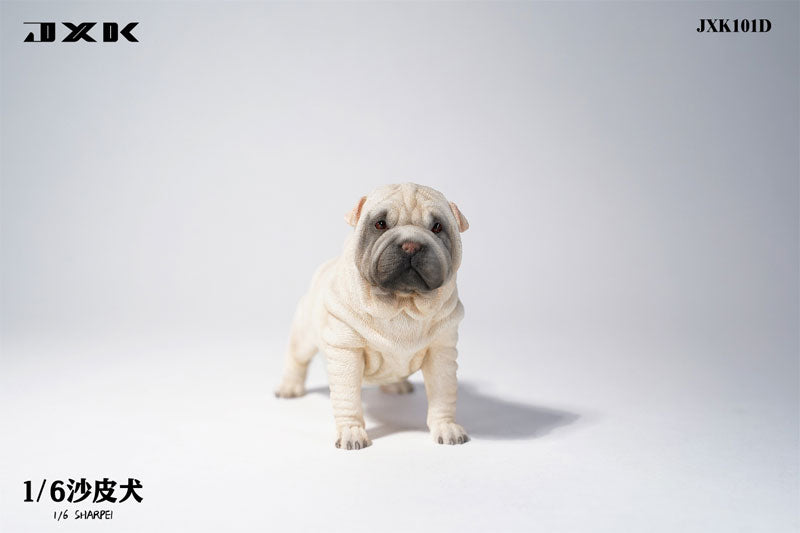 1/6 Shar Pei D